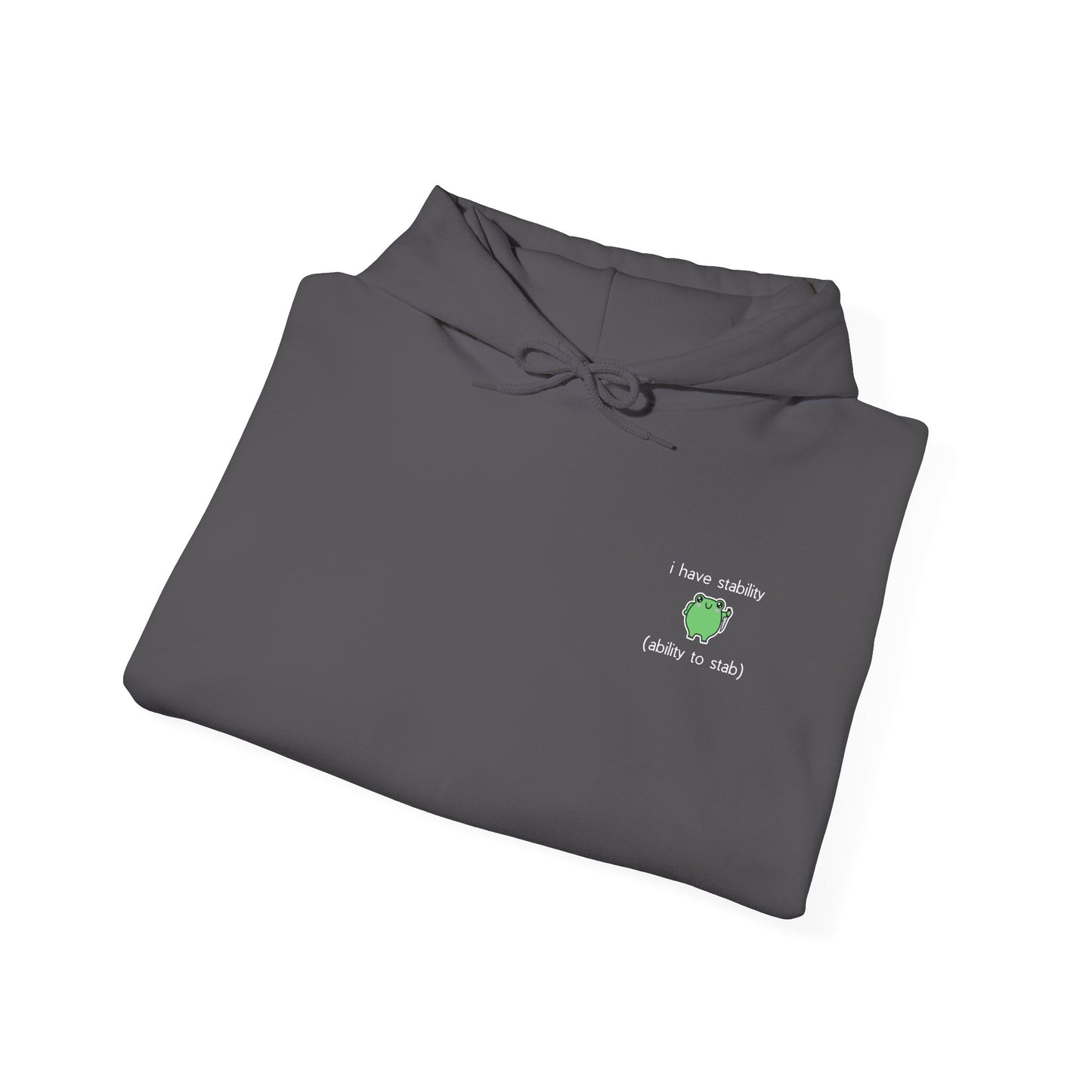 I Have Stability Hoodie